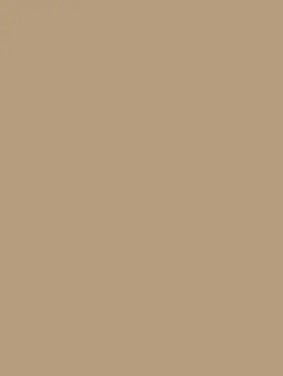 Almond Latte (S215), a Solid Color pattern