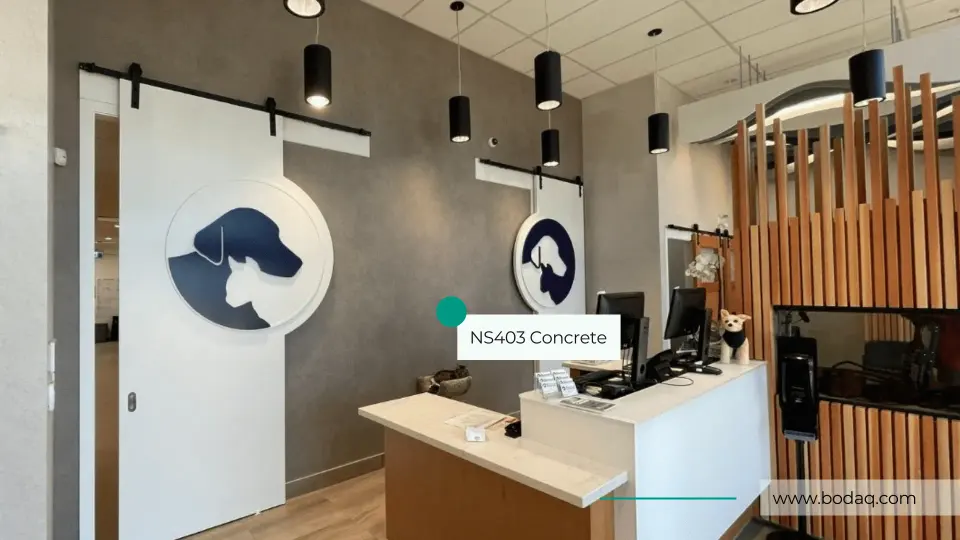 Veterinary Clinic in NS403 Urban Concrete film